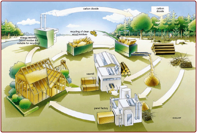 Log Home Resource Cycle